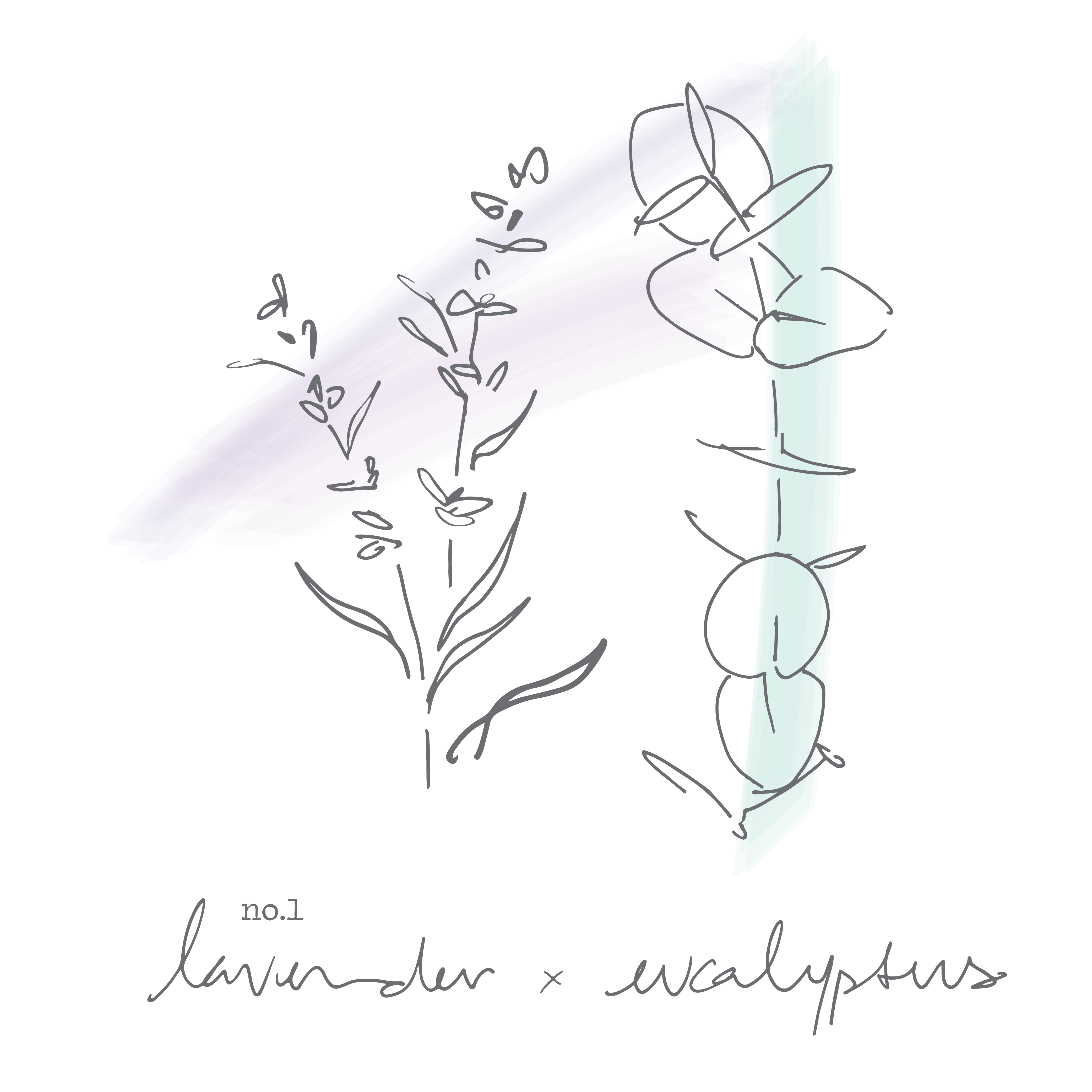 Lavender x Eucalyptus Coconut Wax Candle